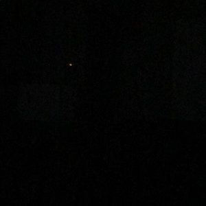 Meet your Posher, Ronald